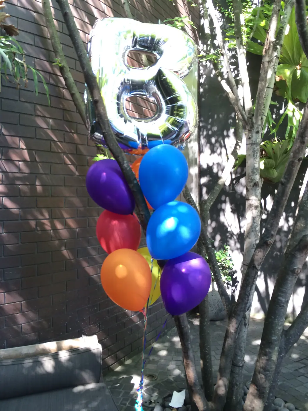 B.B.B.B 2013, photo